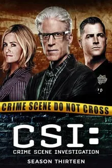 CSI: Kriminalistai 13 sezonas