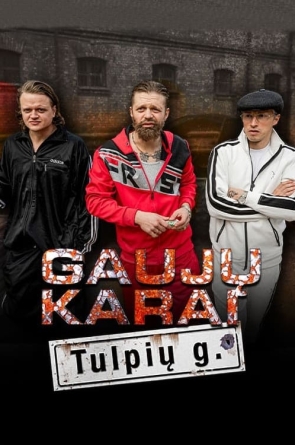 Gaujų karai. Tulpių gatvė 1 sezonas